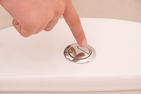 the definitive guide to fixing a clogged toilet digital trends december 11 2014