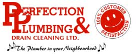 Perfection Plumbing logo