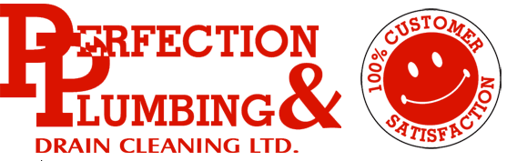 Perfection Plumbing & Drain Cleaning Ltd. in Saskatoon