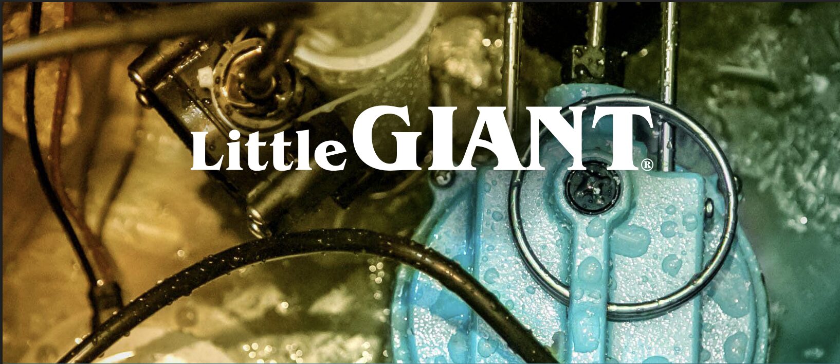 Little Giant sump pumps
