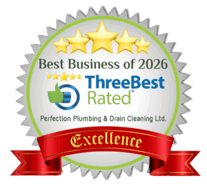 Three best rated badge for perfection plumbing drain cleaning ltd-saskatoon Three Best Rated 2026 badge